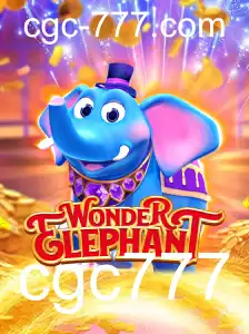 Explorando o Fascinante Mundo de WonderElephant: Regras e Dinâmica do Jogo